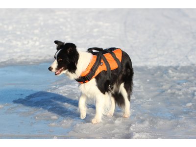 RukkaPets - Zwemvest voor honden - Veilig op de boot - Lichtgewicht Reddingsvest - Verkrijgbaar in XS, S, M, L, XL