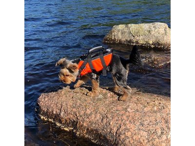RukkaPets - Zwemvest voor honden - Veilig op de boot - Lichtgewicht Reddingsvest - Verkrijgbaar in XS, S, M, L, XL