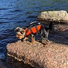 Rukka Pets Rukka Pets - Zwemvest voor honden - Veilig op de boot - Lichtgewicht Reddingsvest - Verkrijgbaar in XS, S, M, L, XL Rukka Pets Rukka Pets - Zwemvest voor honden - Veilig op de boot - Lichtgewicht Reddingsvest - Verkrijgbaar in XS, S, M, L, XL