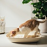Almo Nature Almo Nature Zuinige Kattenbakvulling Klontvormend en Milieuvriendelijk - Inhoud 2,27 kg of 4,54 kg Almo Nature Almo Nature Zuinige Kattenbakvulling Klontvormend en Milieuvriendelijk - Inhoud 2,27 kg of 4,54 kg