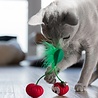 Petstages Petstages Dental Cherries - Gebitsverzorgend speelgoed voor katten - Verbetert de mondhygiëne - Bevat Catnip - Kattenkruid Petstages Petstages Dental Cherries - Gebitsverzorgend speelgoed voor katten - Verbetert de mondhygiëne - Bevat Catnip - Kattenkruid