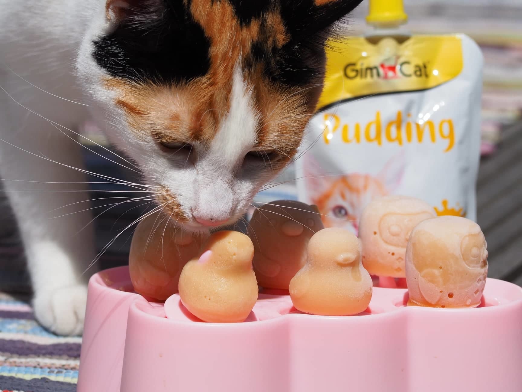 Gimcat Pudding Ijsje voor katten