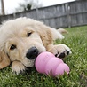 Kong Kong Puppy Latex Speelgoed - Ideaal bij het tanden wisselen - masseert het tandvlees - Blauw of Roze - Geen kleurkeuze mogelijk - Small, Medium, Large Kong Kong Puppy Latex Speelgoed - Ideaal bij het tanden wisselen - masseert het tandvlees - Blauw of Roze - Geen kleurkeuze mogelijk - Small, Medium, Large