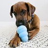 Kong Kong Puppy Latex Speelgoed - Ideaal bij het tanden wisselen - masseert het tandvlees - Blauw of Roze - Geen kleurkeuze mogelijk - Small, Medium, Large Kong Kong Puppy Latex Speelgoed - Ideaal bij het tanden wisselen - masseert het tandvlees - Blauw of Roze - Geen kleurkeuze mogelijk - Small, Medium, Large