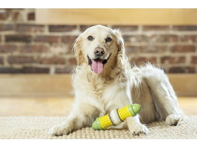 Busy Buddy Corn - Kauwspeelgoed voor honden - Voor een gezond gebit - Vulbaar met rawhide traktatie ringen - Verkrijgbaar in 2 maten