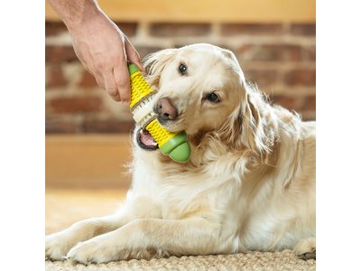 Busy Buddy Corn - Kauwspeelgoed voor honden - Voor een gezond gebit - Vulbaar met rawhide traktatie ringen - Verkrijgbaar in 2 maten
