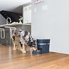 PetSafe PetSafe® Smart Feed Automatic Pet Feeder - Met Wifi & APP bediening - Geschikt voor katten en kleine tot middelgrote honden PetSafe PetSafe® Smart Feed Automatic Pet Feeder - Met Wifi & APP bediening - Geschikt voor katten en kleine tot middelgrote honden