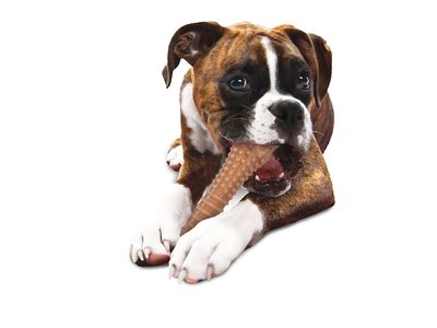 Nylabone Extreme kauwbot met baconsmaak