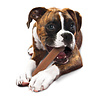 Nylabone Nylabone Extreme kauwbot met baconsmaak - Voor Krachtige Kauwers - XS/S/M/L/XL Nylabone Nylabone Extreme kauwbot met baconsmaak - Voor Krachtige Kauwers - XS/S/M/L/XL
