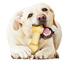 Nylabone Nylabone Extreme kauwbot knoop - Voor de Krachtigste Kauwers - Rundvlees smaak - XS/M/L Nylabone Nylabone Extreme kauwbot knoop - Voor de Krachtigste Kauwers - Rundvlees smaak - XS/M/L