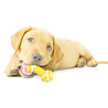 Nylabone Nylabone Puppy kauwbot - Dubbele knoop met Rundvleessmaak - Voor Pups tot 7 kg - XS Nylabone Nylabone Puppy kauwbot - Dubbele knoop met Rundvleessmaak - Voor Pups tot 7 kg - XS