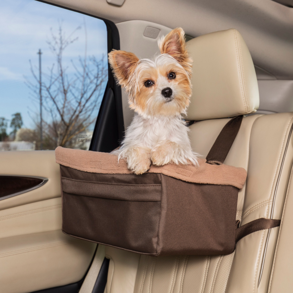 Vorming Obsessie Rood Zitverhoger voor honden in de auto - Max&Luna