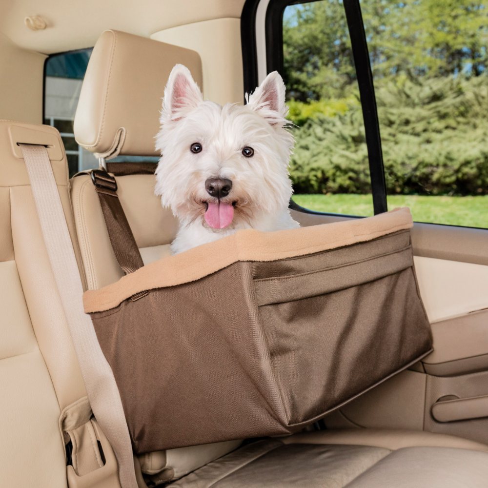 Vorming Obsessie Rood Zitverhoger voor honden in de auto - Max&Luna