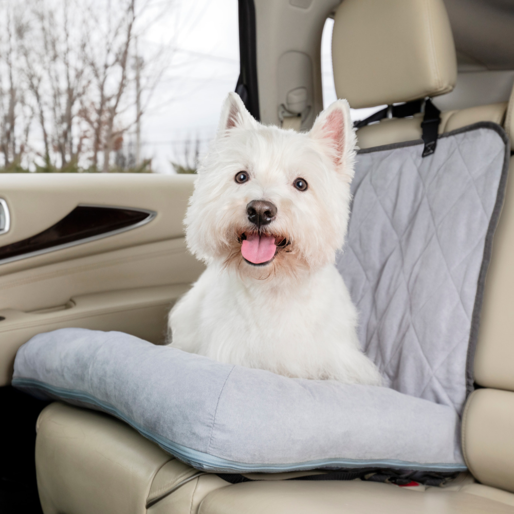 zege biografie middag PetSafe Happy Ride™ Hondenbed voor in de auto - Max&Luna