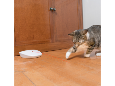 PetSafe FroliCat Laser Tail - Laserspeelgoed met veiligste laser - Schakelt Automatisch uit
