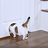 PetSafe PetSafe Staywell® Cat Corridor - Kattendoorgang voor binnenshuis - Overschilderbaar design - Voor katten tot 9 kg PetSafe PetSafe Staywell® Cat Corridor - Kattendoorgang voor binnenshuis - Overschilderbaar design - Voor katten tot 9 kg