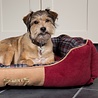 Scruffs Scruffs Highland Box Bed - Stevige Hondenmand van Hoogwaardige Chenille stof met anti-slip onderzijde - Blauw, Rood of Grijs in S/M/L/XL Scruffs Scruffs Highland Box Bed - Stevige Hondenmand van Hoogwaardige Chenille stof met anti-slip onderzijde - Blauw, Rood of Grijs in S/M/L/XL