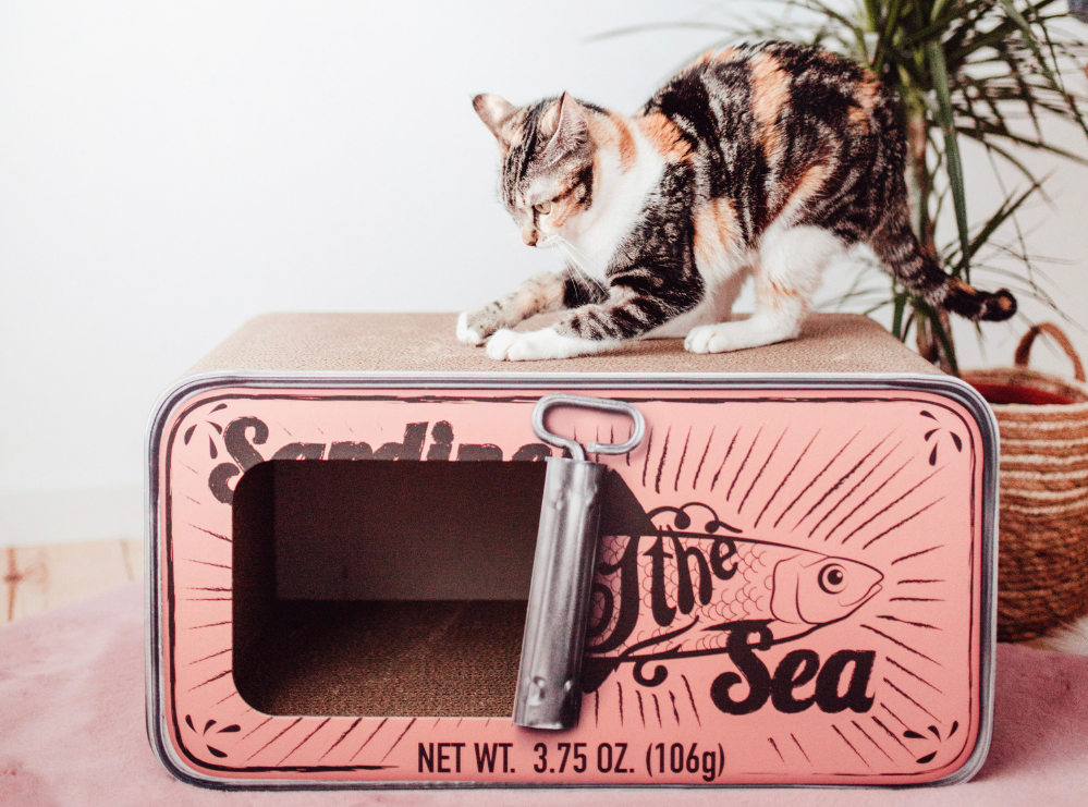 eend Kaal Toeschouwer 5 Tips om krabben van je kat aan meubels te voorkomen - Max&Luna