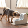 PetSafe PetSafe Drinkwell® Mini Pet Fountain - Drinkfontein voor katten en kleine honden - Met vrijvallende waterstroom en verstelbare stroomsnelheid - 1,2 liter PetSafe PetSafe Drinkwell® Mini Pet Fountain - Drinkfontein voor katten en kleine honden - Met vrijvallende waterstroom en verstelbare stroomsnelheid - 1,2 liter
