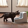 PetSafe PetSafe Drinkwell® Mini Pet Fountain - Drinkfontein voor katten en kleine honden - Met vrijvallende waterstroom en verstelbare stroomsnelheid - 1,2 liter PetSafe PetSafe Drinkwell® Mini Pet Fountain - Drinkfontein voor katten en kleine honden - Met vrijvallende waterstroom en verstelbare stroomsnelheid - 1,2 liter