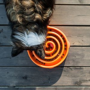 Anti-Schrok voerbak voor honden