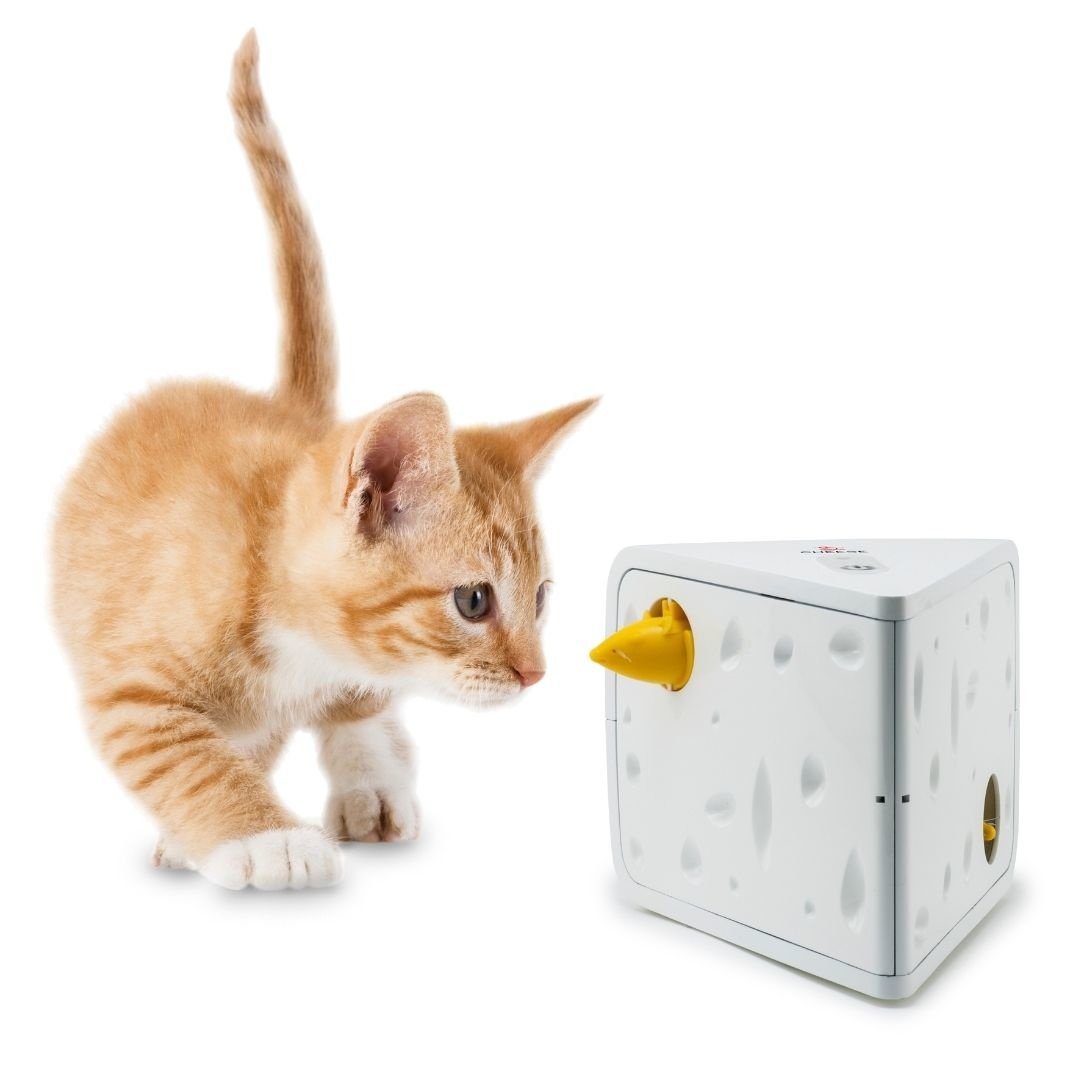 FroliCat Uitdagend Interactief Spel voor Katten - Max&Luna