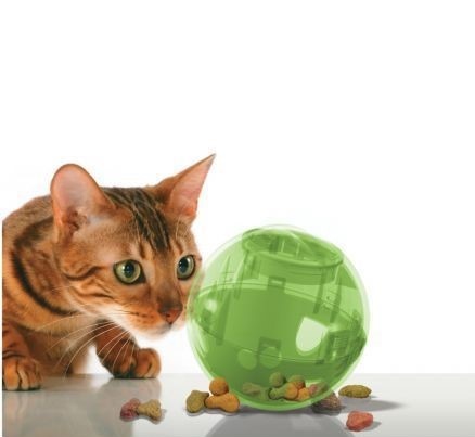 Struikelen bevind zich uitrusting SlimCat Voerbal Speelgoed voor Katten - Max&Luna