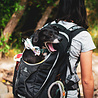 Kurgo Comfortabele Hondenrugzak voor Kleine honden met diverse opbergvakken - Voor honden tot 11 kg - Kurgo G-train K9 - Rood of Zwart - 33x53x25cm Kurgo Comfortabele Hondenrugzak voor Kleine honden met diverse opbergvakken - Voor honden tot 11 kg - Kurgo G-train K9 - Rood of Zwart - 33x53x25cm