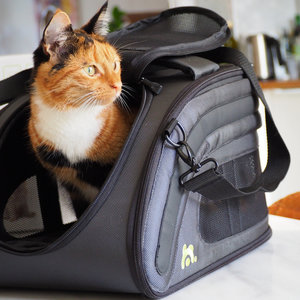Opvouwbare design reistas voor hond of kat - geschikt als handbagage