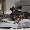 Scruffs Scruffs Highland Hondenmatras - Stijlvol in Grijs - Met Anti-Slip onderkant - 100 x 70 cm Scruffs Scruffs Highland Hondenmatras - Stijlvol in Grijs - Met Anti-Slip onderkant - 100 x 70 cm