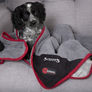 Scruffs Thermal Hondendeken