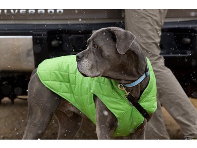 Thermo Warme Jas voor Honden - Reversible, Waterafstotend & Wasbaar - Kurgo Loft Jacket - in 4 kleuren in maten XS tot XL