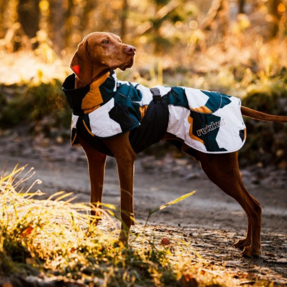 camera Verhogen Sovjet Rukka Pets Stormy Coat - Winterjas voor honden - Max&Luna