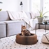 District 70 District 70 MAZE 3-in-1 opvouwbare kartonnen kattenmand - Inclusief Catnip balletje - Voor Slapen, Spelen en Krabben! District 70 District 70 MAZE 3-in-1 opvouwbare kartonnen kattenmand - Inclusief Catnip balletje - Voor Slapen, Spelen en Krabben!