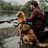 Kurgo Kurgo Journey Air - Hondenharnas voor actieve honden - Eenvoudig te bevestigen - Zwart/Grijs - XS, S, M, L en XL Kurgo Kurgo Journey Air - Hondenharnas voor actieve honden - Eenvoudig te bevestigen - Zwart/Grijs - XS, S, M, L en XL