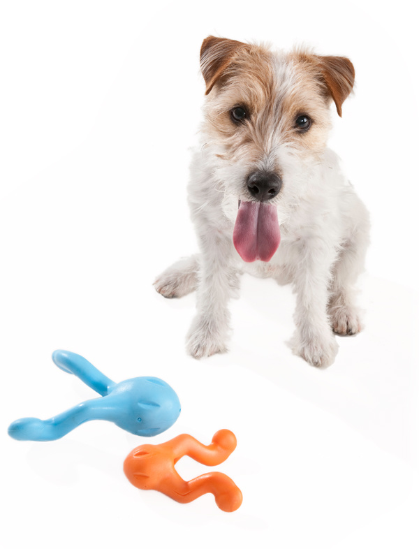 baseren Aanpassingsvermogen armoede West Paw Tizzi Zogoflex- Speeltje voor actieve honden om ver te gooien -  Max&Luna