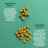 Imby Imby Plantaardig Droogvoer voor Honden - Hypoallergeen en 99,9% Vegan - Ovengebakken Hondenbrokjes - Volledig CO2 neutraal geproduceerd - Zakken van 1,5 kg of 5 kg Imby Imby Plantaardig Droogvoer voor Honden - Hypoallergeen en 99,9% Vegan - Ovengebakken Hondenbrokjes - Volledig CO2 neutraal geproduceerd - Zakken van 1,5 kg of 5 kg