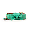 Dog With A Mission Dog with a Mission - Halsband Boomer - Turquoise leren hondenhalsband - Maat XXS t/m XXL Dog With A Mission Dog with a Mission - Halsband Boomer - Turquoise leren hondenhalsband - Maat XXS t/m XXL