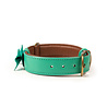 Dog With A Mission Dog with a Mission - Halsband Boomer - Turquoise leren hondenhalsband - Maat XXS t/m XXL Dog With A Mission Dog with a Mission - Halsband Boomer - Turquoise leren hondenhalsband - Maat XXS t/m XXL