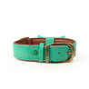Dog With A Mission Dog with a Mission - Halsband Boomer - Turquoise leren hondenhalsband - Maat XXS t/m XXL Dog With A Mission Dog with a Mission - Halsband Boomer - Turquoise leren hondenhalsband - Maat XXS t/m XXL