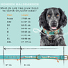 Dog With A Mission Dog with a Mission - Halsband Boomer - Turquoise leren hondenhalsband - Maat XXS t/m XXL Dog With A Mission Dog with a Mission - Halsband Boomer - Turquoise leren hondenhalsband - Maat XXS t/m XXL