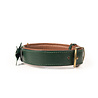 Dog With A Mission Dog with a Mission - Halsband Bowie - Groene Leren Hondenhalsband- Maat XXS t/m XXL Dog With A Mission Dog with a Mission - Halsband Bowie - Groene Leren Hondenhalsband- Maat XXS t/m XXL