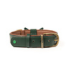 Dog With A Mission Dog with a Mission - Halsband Bowie - Groene Leren Hondenhalsband- Maat XXS t/m XXL Dog With A Mission Dog with a Mission - Halsband Bowie - Groene Leren Hondenhalsband- Maat XXS t/m XXL