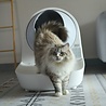 Catlink Catlink Stairs - Uitlooprooster en Trap in één - Accessoire voor de Scooper Pro Luxury kattenbak - Kleur Wit Catlink Catlink Stairs - Uitlooprooster en Trap in één - Accessoire voor de Scooper Pro Luxury kattenbak - Kleur Wit