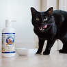 Grizzly Grizzly Salmon Plus - Zuivere Wilde Zalmolie voor Honden en Katten met Doseerpomp voor een glanzende vacht en gezonde huid - 125ml tot 2000ml Grizzly Grizzly Salmon Plus - Zuivere Wilde Zalmolie voor Honden en Katten met Doseerpomp voor een glanzende vacht en gezonde huid - 125ml tot 2000ml