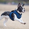 Puppia Puppia Hondenharnas - Verstelbaar Soft Vest in 6 Kleuren van XS tot XL Puppia Puppia Hondenharnas - Verstelbaar Soft Vest in 6 Kleuren van XS tot XL