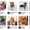 Puppia Puppia Soft Harnas - Zacht Hondentuigje in 6 kleuren en 5 maten Puppia Puppia Soft Harnas - Zacht Hondentuigje in 6 kleuren en 5 maten