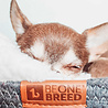 BeOneBreed Pet Cuddler - Knusse ronde mand voor katten en kleine hondjes - Grijs - Diameter 40 cm BeOneBreed Pet Cuddler - Knusse ronde mand voor katten en kleine hondjes - Grijs - Diameter 40 cm