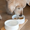 BeOneBreed BeOneBreed Ceramic & Bamboo Bowl Duo - 2 Keramische Drink- & Voerbakken met bamboe standaard - Wit - Small of Medium BeOneBreed BeOneBreed Ceramic & Bamboo Bowl Duo - 2 Keramische Drink- & Voerbakken met bamboe standaard - Wit - Small of Medium
