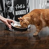 BeOneBreed BeOneBreed Cat Face Bowl - Porseleinen Kattenkop voerbak - Krijtbord afwerking - Zwart met Wit - Inhoud 250 ml BeOneBreed BeOneBreed Cat Face Bowl - Porseleinen Kattenkop voerbak - Krijtbord afwerking - Zwart met Wit - Inhoud 250 ml